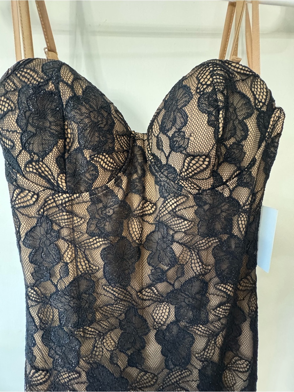 JLUX Label Bridal Nude & Black Lace Bustier Dress